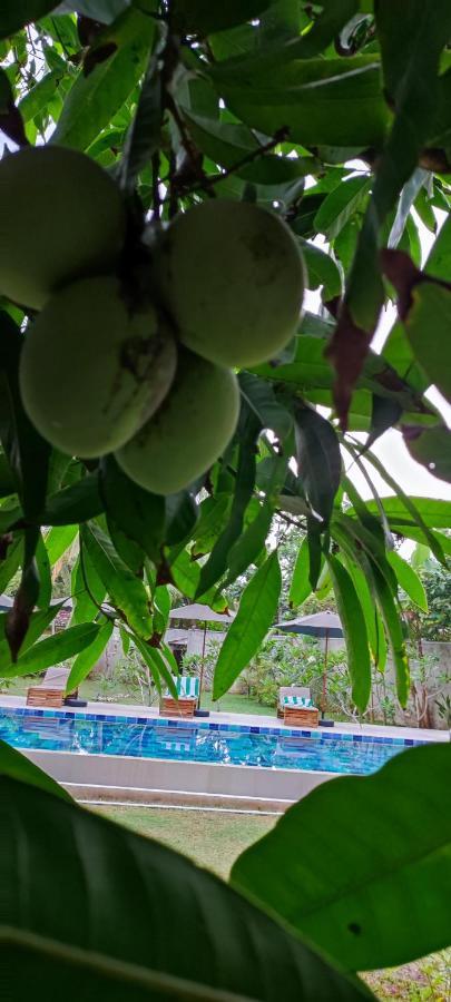 Mango Tree Villa Bentota Zewnętrze zdjęcie